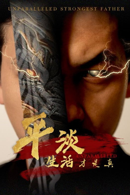 无双之最强老爸 封面