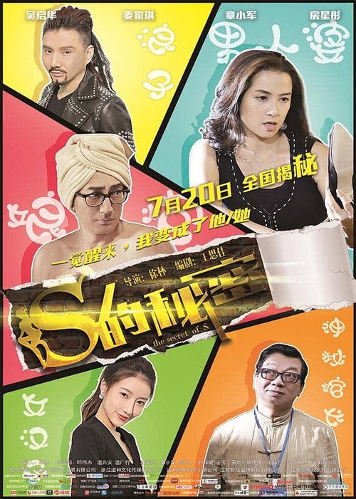 S的秘密 封面