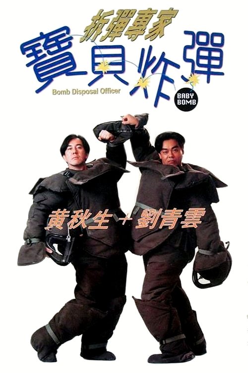 拆弹专家:宝贝炸弹 封面