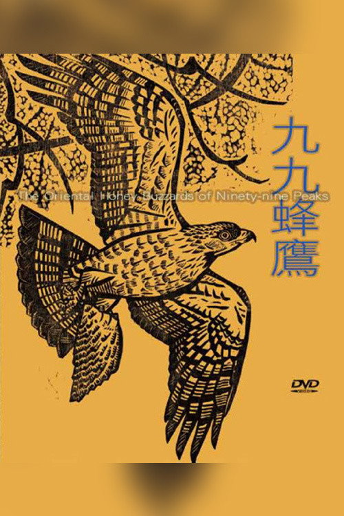九九蜂鷹 封面