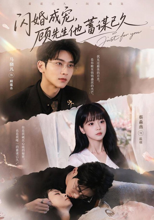 闪婚成宠,顾先生他蓄谋已久 封面