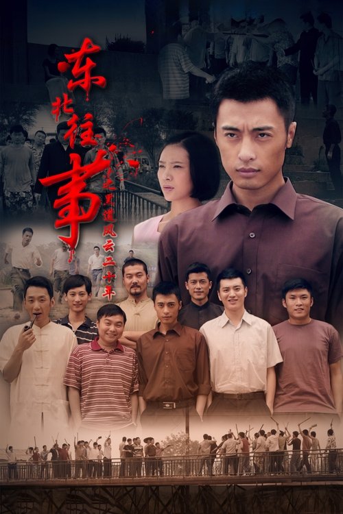 东北往事之黑道风云20年 封面