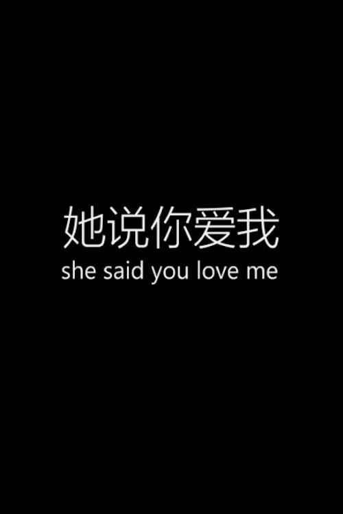 她说你爱我 封面