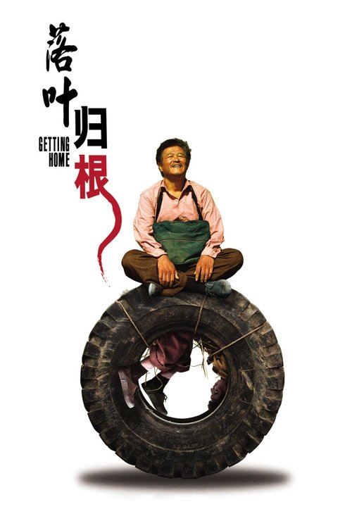 落叶归根 封面