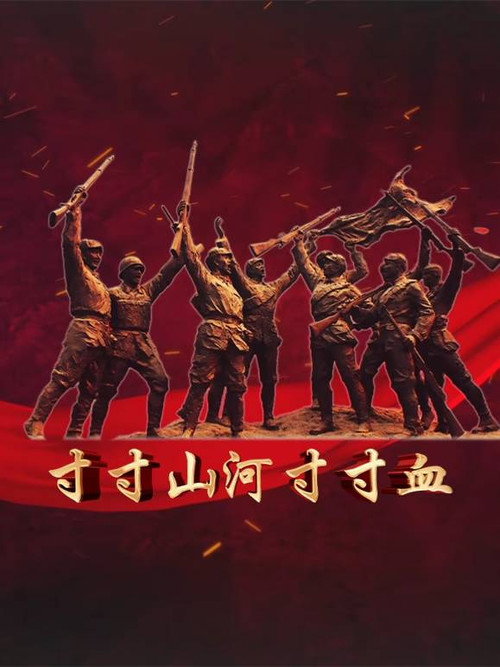 寸寸山河寸寸血 封面