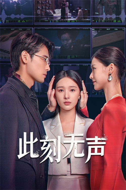 此刻无声 封面