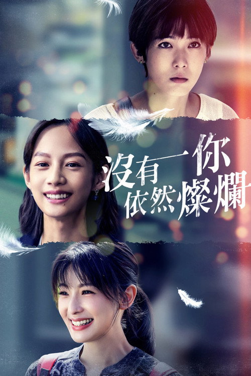 没有你依然灿烂 封面