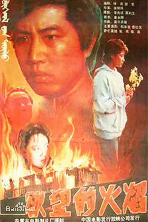 欲望的火焰 封面