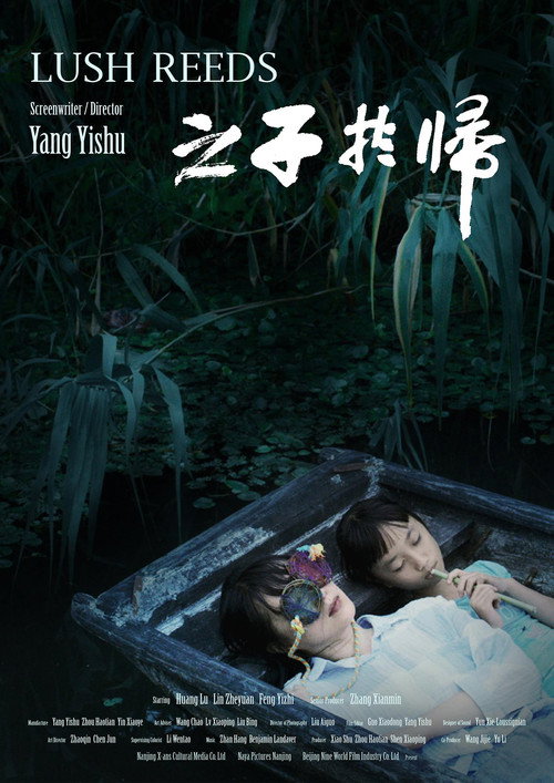 之子于归 封面