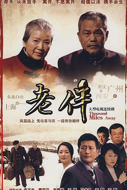 老伴 封面