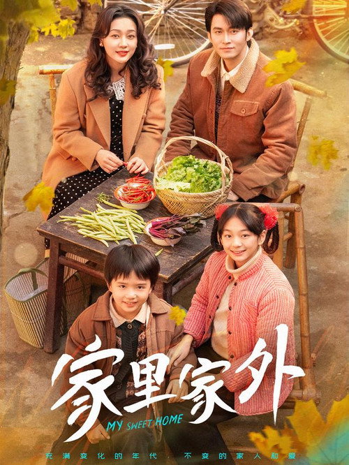 家里家外 封面
