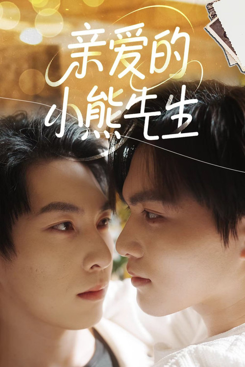 亲爱的,小熊先生 封面