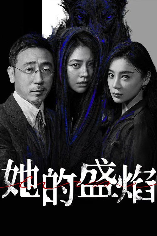 她的盛焰 封面