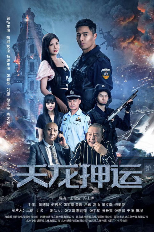 天龙押运 封面