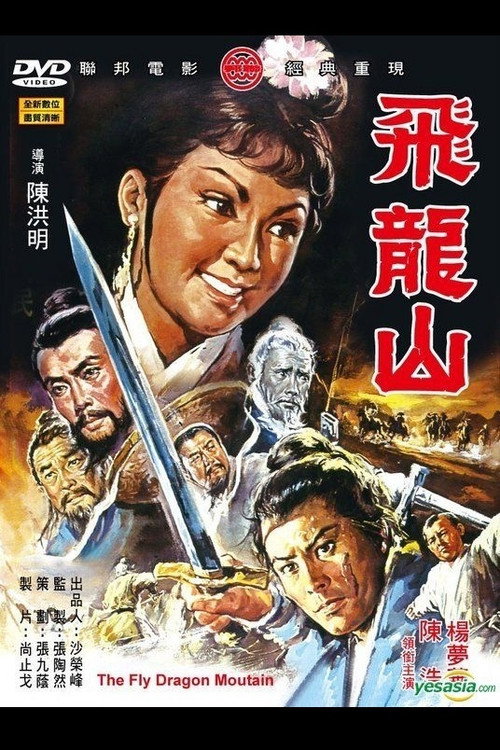 飞龙山 封面