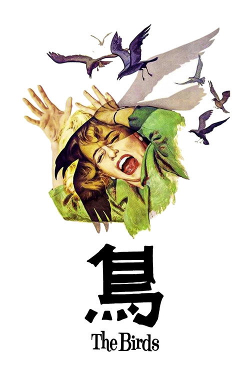 群鸟 封面